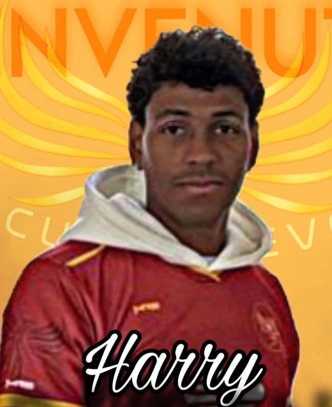 Harry Graziano