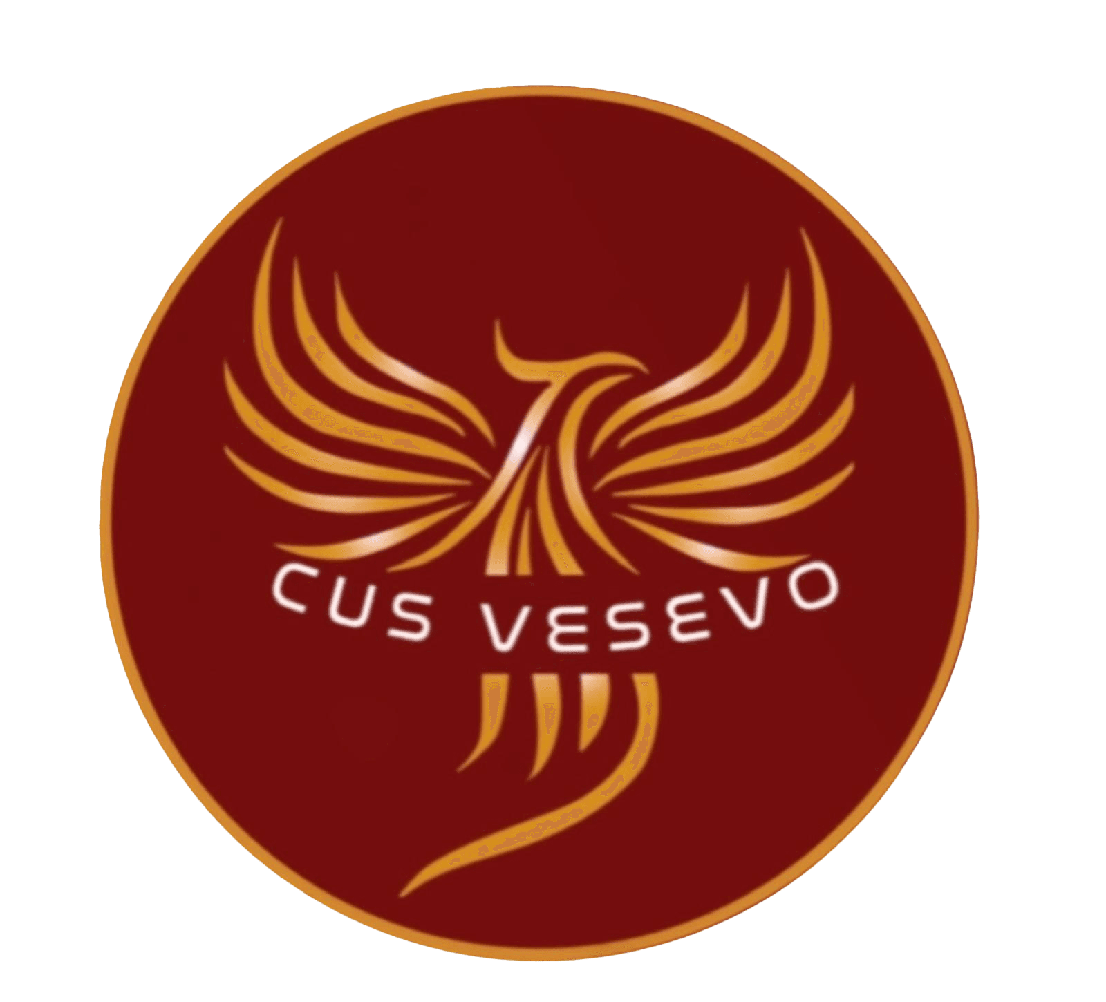 CUS Vesevo Logo